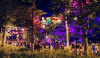 Festival-goers strolling through a whimsically lit forest path adorned with colourful lanterns at the Kendal Calling festival.