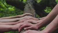 Group of people with hands on a log in forest area.