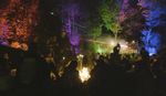 Trees in background illuminated with coloured lights, fire in the foreground at Moovin Festival.