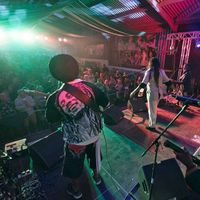 Musicians on the Wilkswood Reggae festival stage.