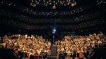 Large crowd in an indoor theatre at the Sheffield DocFest.