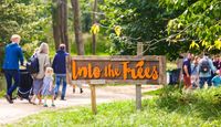 Into the Trees Festival sign next to a dirt pathway surrounded by green grass and trees.