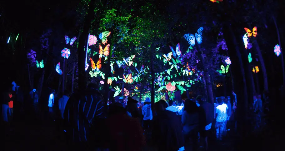 Nozstock festival at night in a fluorescent butterfly garden.
