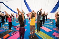 A group of yoga practitioners performing a yoga pose at the World Yoga Festival.